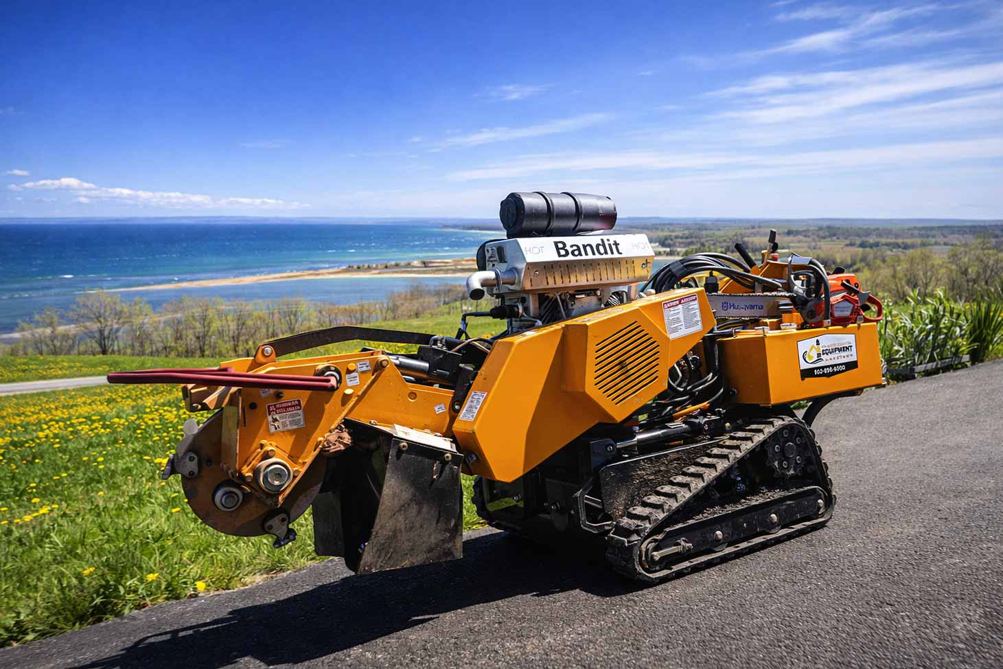 Professional stump grinding services from Atlantic Disposal Services