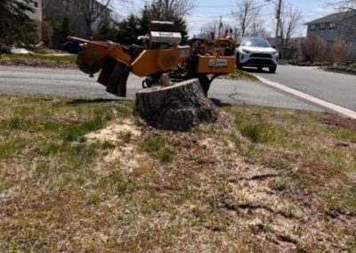 Atlantic Stump Grinding