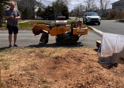 Atlantic Stump Grinding