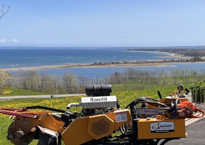 Atlantic Stump Grinding