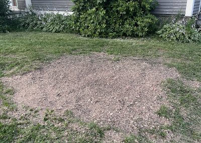 Atlantic Stump Grinding
