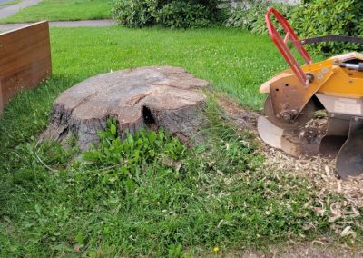 Atlantic Stump Grinding